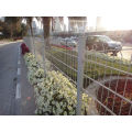 Popular Hot Sale Wire Mesh Fence (factory)